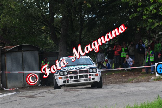 DSC_8381.jpg